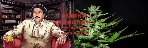 марки nbome Вяземский