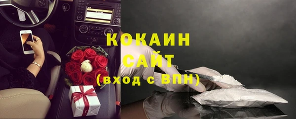 стаф Верея