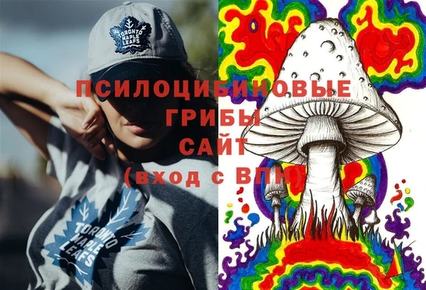 марки nbome Вяземский